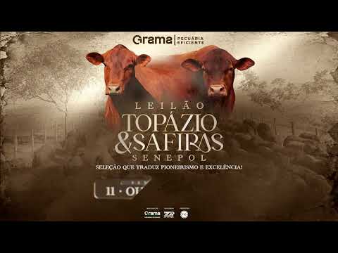LOTE 59 - ZT7400