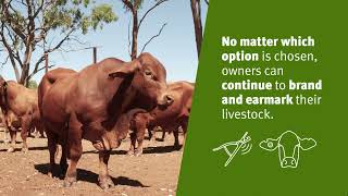 Livestock brands and earmarks consultation