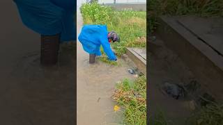 Extreme Water Flow After Unclogging the Drain!