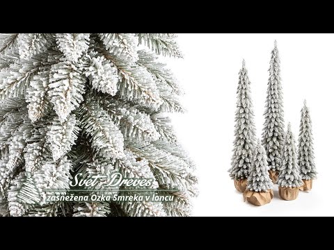 Product video