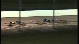 SHP THU 28 AUG 14 R11