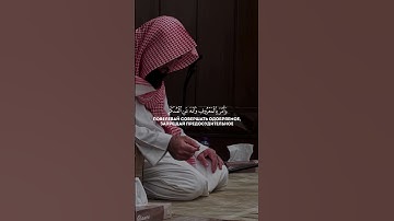 - تلاوة خاشعة تريح القلب | محمد اللحيدان .