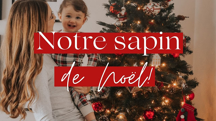 On décore le sapin! | Vlog du 19 novembre 2022