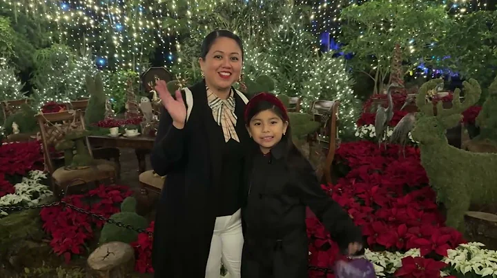 Dazzling lights Leu Garden 2025 Orlando