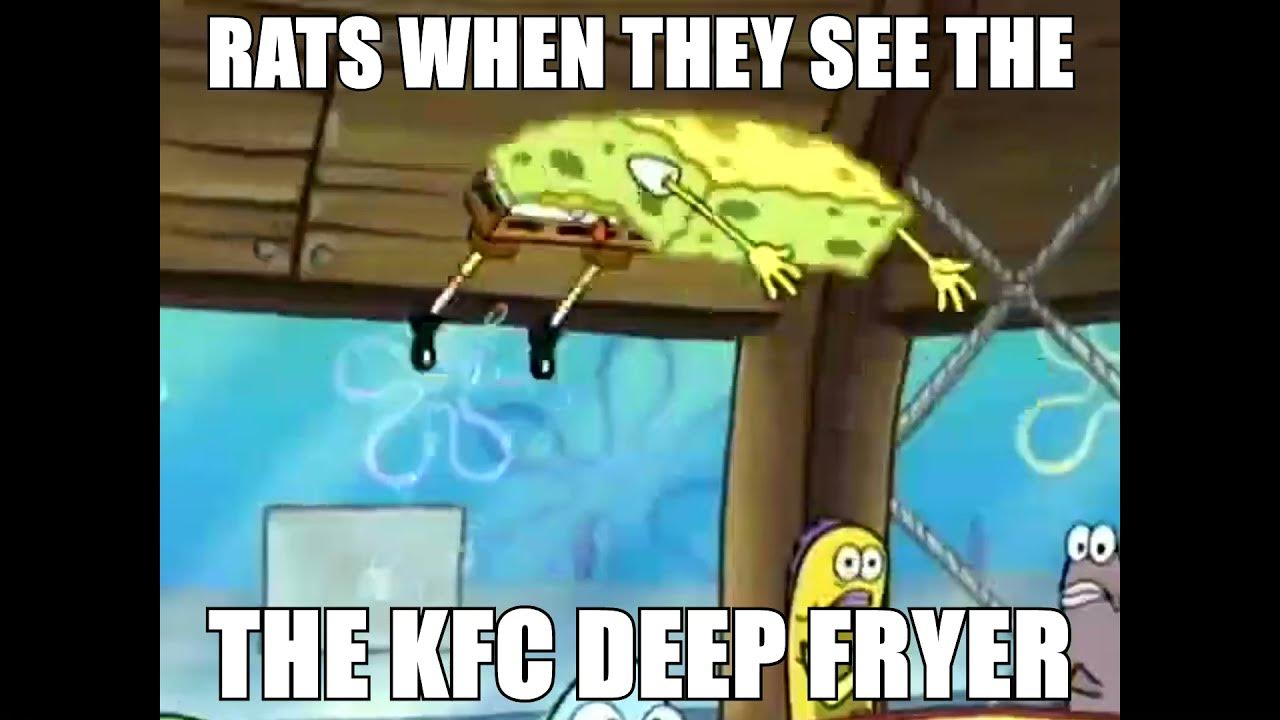 Rats when they see the KFC deep fryer YouTube
