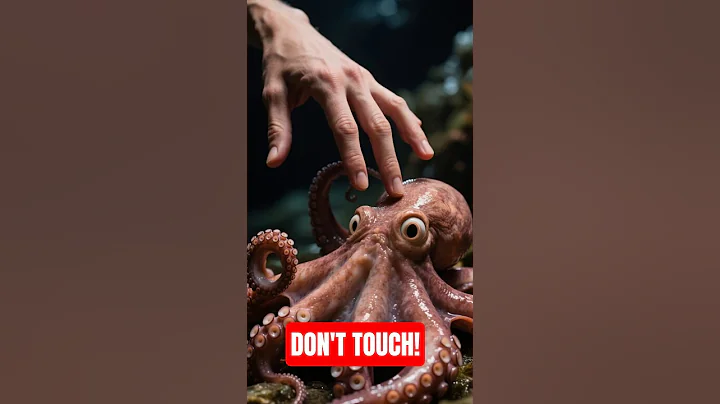 Top 5 Most Poisonous and Toxic Animals You Should Never Touch | #shorts