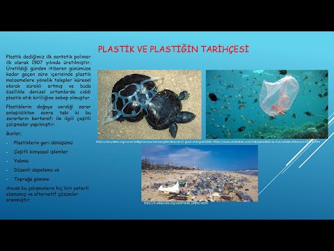 Plastik Kökenli Deniz Kirliliğine Karşı Alglerin Kullanımı