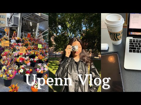 Upenn Vlog | My Life Currently
