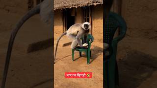 बदर क खचड