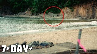 Снежный человек - реальные фото и видео Снежный человек - реальные фото и видео
