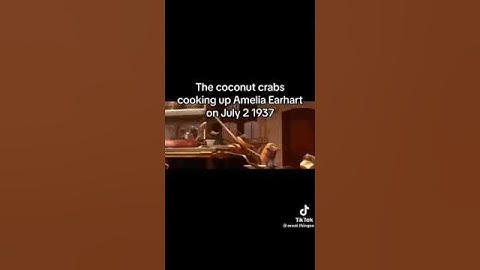 #meme #darkmemes #ameliaearhart #coconutcrab   those crabs eaten goooood💀💀🥶