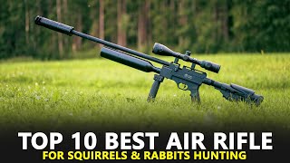 Best Air Rifle for Squirrels and Rabbits - Top 10 Best Air Rifle for Hunting screenshot 5
