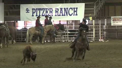 Pitzer Ranch 2013 Spring Sale Lot# 59 TY TWO JACK
