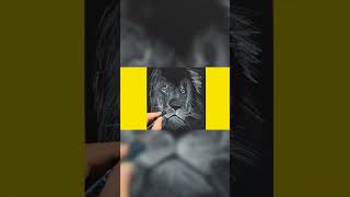 The Way This Artist Shades The Lion Fur Is Insane