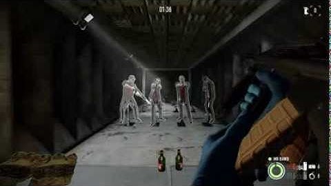 Payday 2 Slow Motion UAR/Aug Rifle Animations Highest Graphics