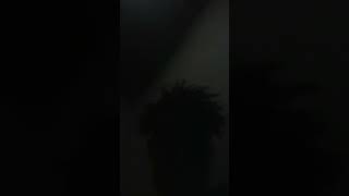 Highlight 000 - 114 From Hope Music Oromia Tube