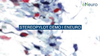 StereoPylot demo | eNeuro #OpenSourceTools