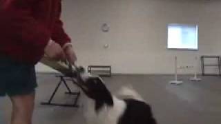 Table, Jump and Teeter Work