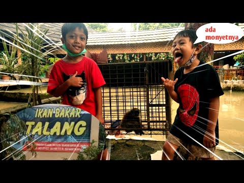 Rm Ikan Bakar Talang Foto