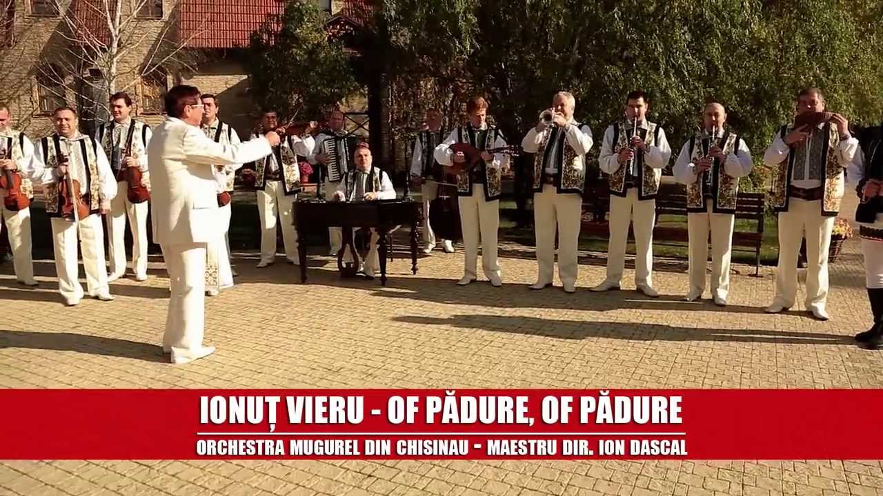 Of pădure, of pădure! IONUŢ VIERU ŞI ORCHESTRA MUGUREL