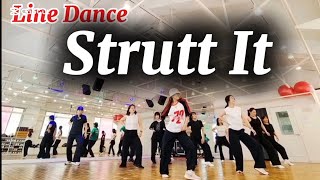 Strutt It Linedance/Intermediate/제주라인댄스 