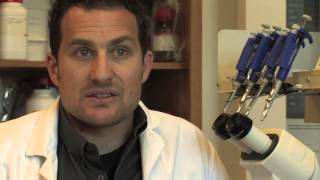 Catalyst for a Cure 2015 Research Progress Report Catalyst For A Cure Scientific Update 2015 2016
