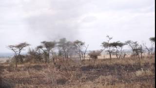Dust Devil