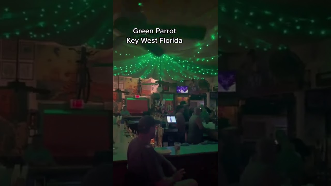 Green Parrot Key West Florida YouTube
