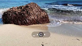 🎧Nora En Pure - Saltwater 2015 Rework 🎧Nora En Pure - Saltwater 2015 Rework