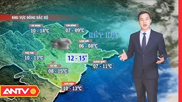 Dự Báo Thời Tiết Tối Ngày 21/2: Miền Bắc Rét Hại, Giảm Mưa, Trời Nhiều Mây | ANTV
