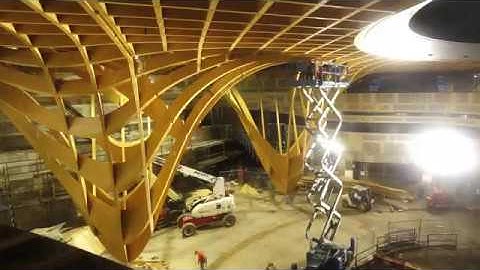 The Bunjil Place Timber Gridshell