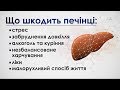 Що найбільше шкодить печінці і як запобігти хворобам – поради гастроентеролога