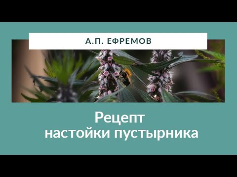 Рецепт настойки пустырника от А.П. Ефремова