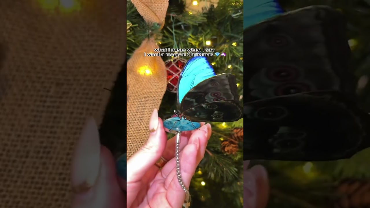 The most magical time of the year ✨🤍 #giftidea #giftguide #giftlist #techgift #fantasy