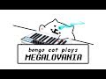 Bongo Cat plays MEGALOVANIA