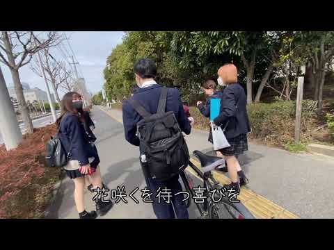 【青春】3月9日 フルートで演奏してみた