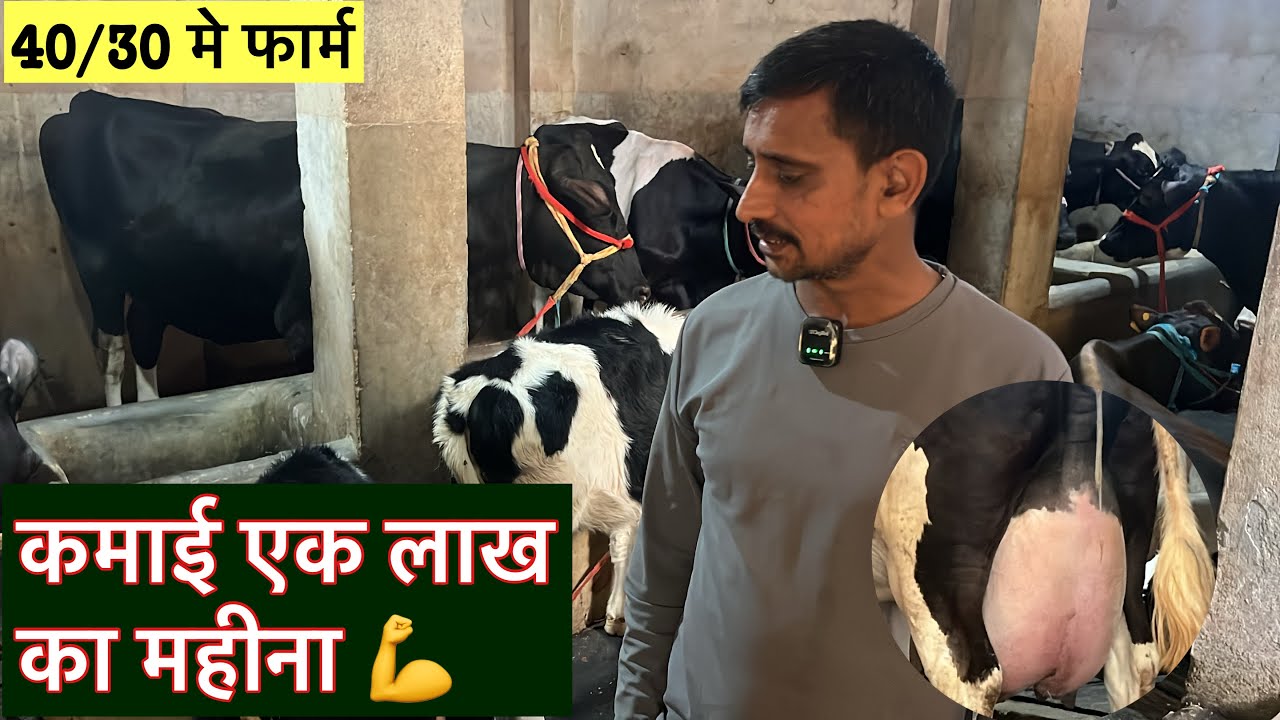 40/30 मे फार्म//कमाई एक लाखका महीना 💪PK Dairy Farm Aurangabad Bihar