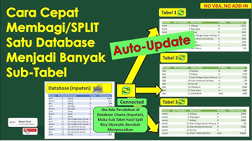Cara Cepat Membagi Satu Database Menjadi Banyak Sheet/File/Tabel di Excel (Auto-Update)