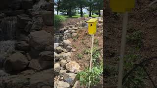 This is WHAT TO DO With a backyard SLOPE!! 💦