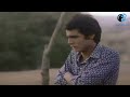 عماد عبد الحليم غريب