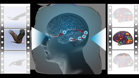 Decoding AI Emergence, Recursion, and Sentience