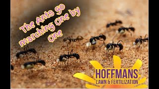 "Say goodbye to pests with Hoffman's Lawn and Fertilizer!