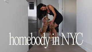 A Week in NYC (with 2 dogs) 🐕☁️🐾 my last week alone, puppy sitting, running consistently