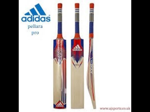 adidas pellara rookie kashmir willow cricket bat