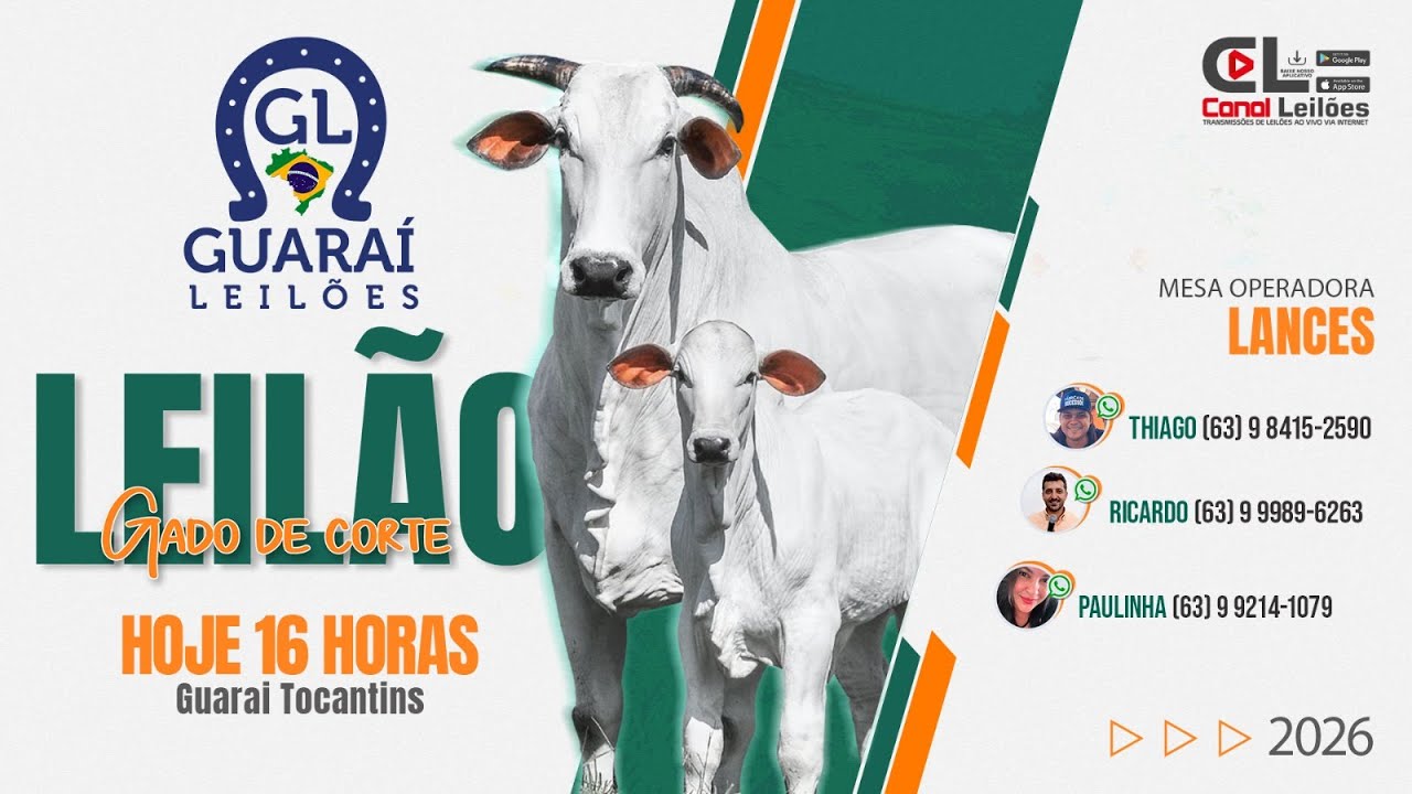 1° LEILÃO GADO DE CORTE DE 2026 GUARAÍ LEILÕES | GUARAÍ-TO 07/01/2026