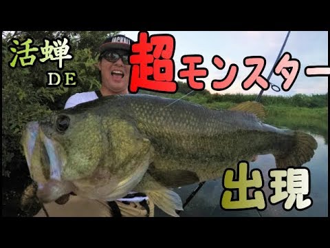 四国バス釣りの旅 スーパーモンスター出現 Youtube