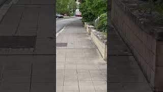 Lovely squirrel in the streets of luxembourg shortsvideo nature travel shorts