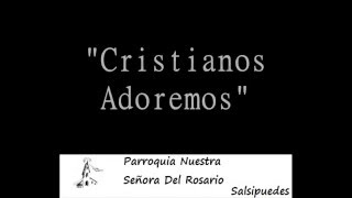 Video thumbnail of "Cristianos Vayamos"