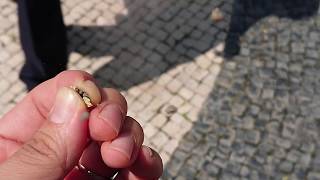 Super slow motion: popping a Bang Snap with my fingers