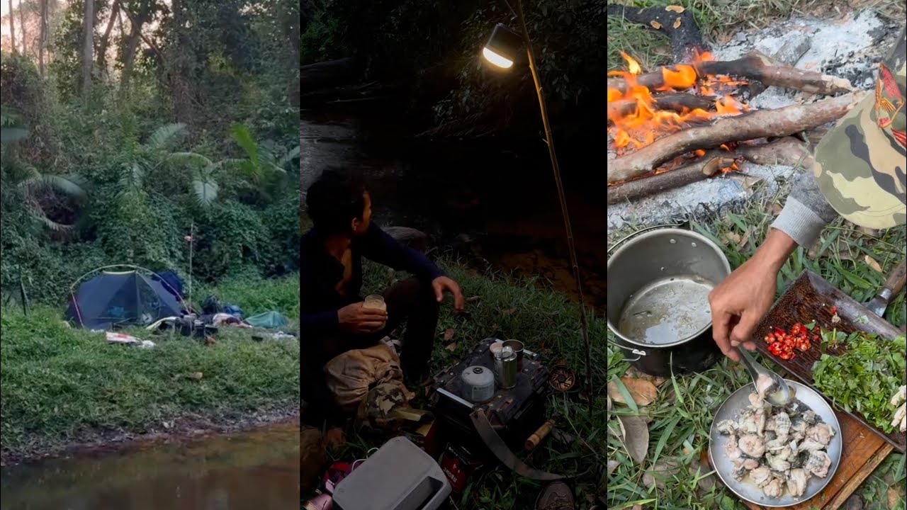 រកឃ្មុំបោះតង់ នេះជាជីវិតតាំងតែពីក្មេងម Find bees Camping Cooking 